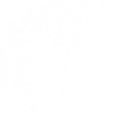 Kamera BCS-SDHC4225-II