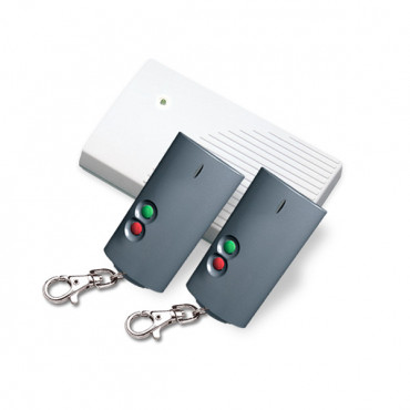 Sterownik radiowy...