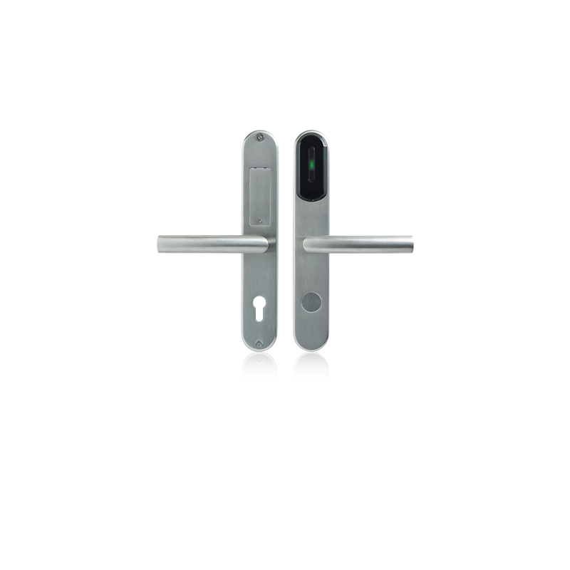 RWL-2-SL-L Autonomiczny zamek drzwiowy Roger