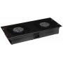 RAWP Pulsar Panel dwóch wentylatorów do szaf RACK typu RS/ZRS 1
